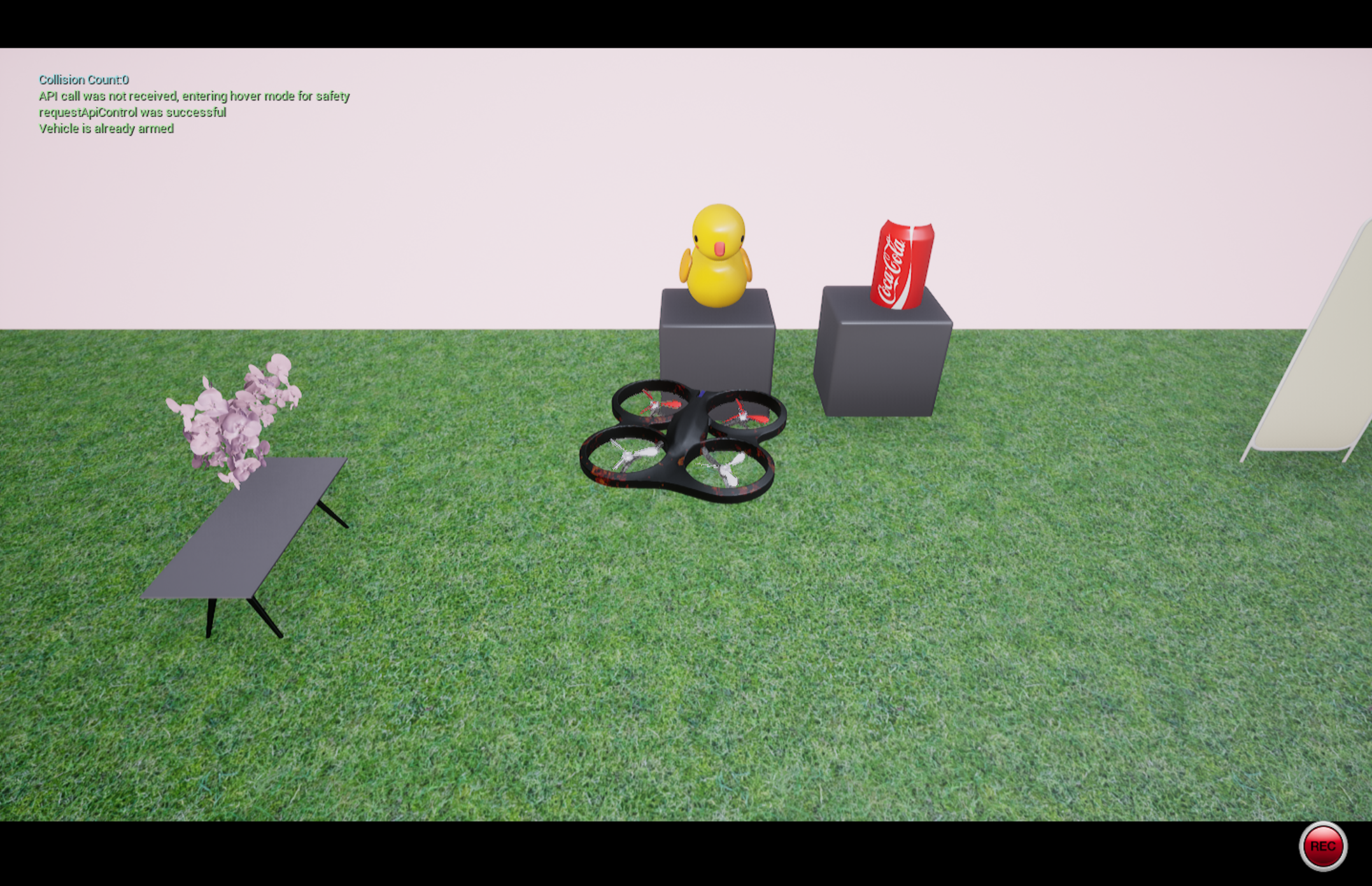 back